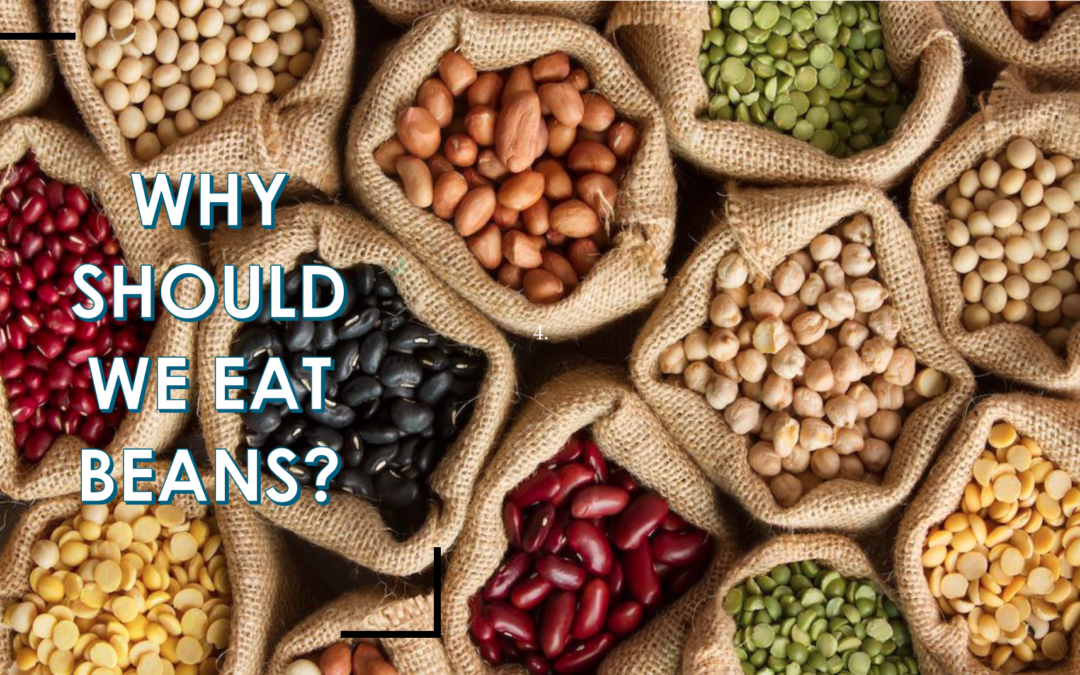 Why Should We Eat Beans?